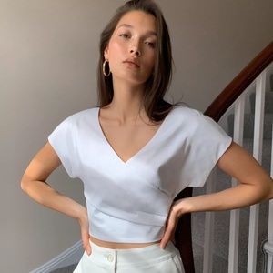 Aritzia Babaton Castellar Blouse